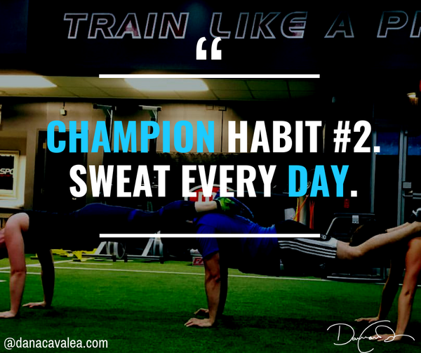 Champion habit online
