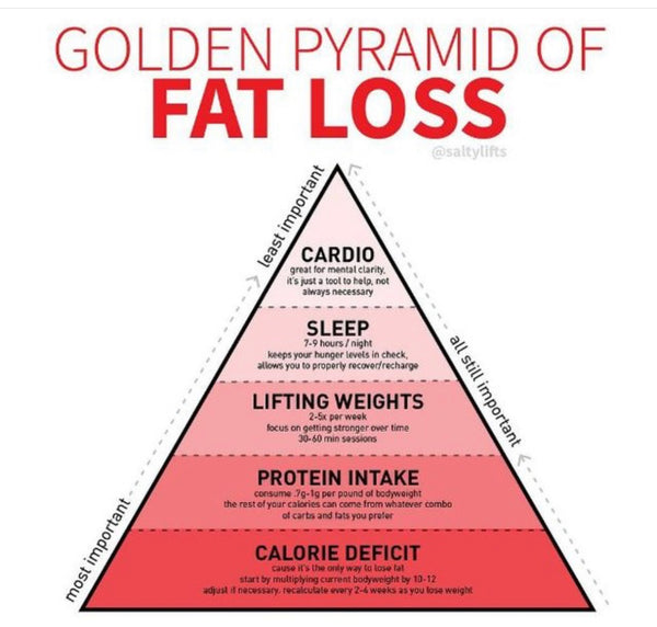 Pyramid training for online fat loss