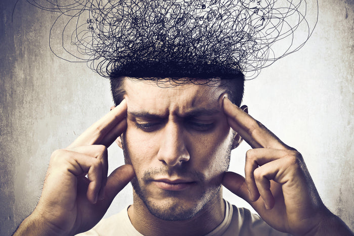 Your Brain is a Survival Organ