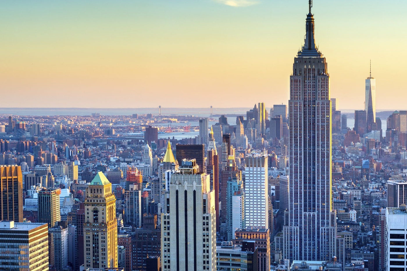 It's Never Too Late to Go Pro.