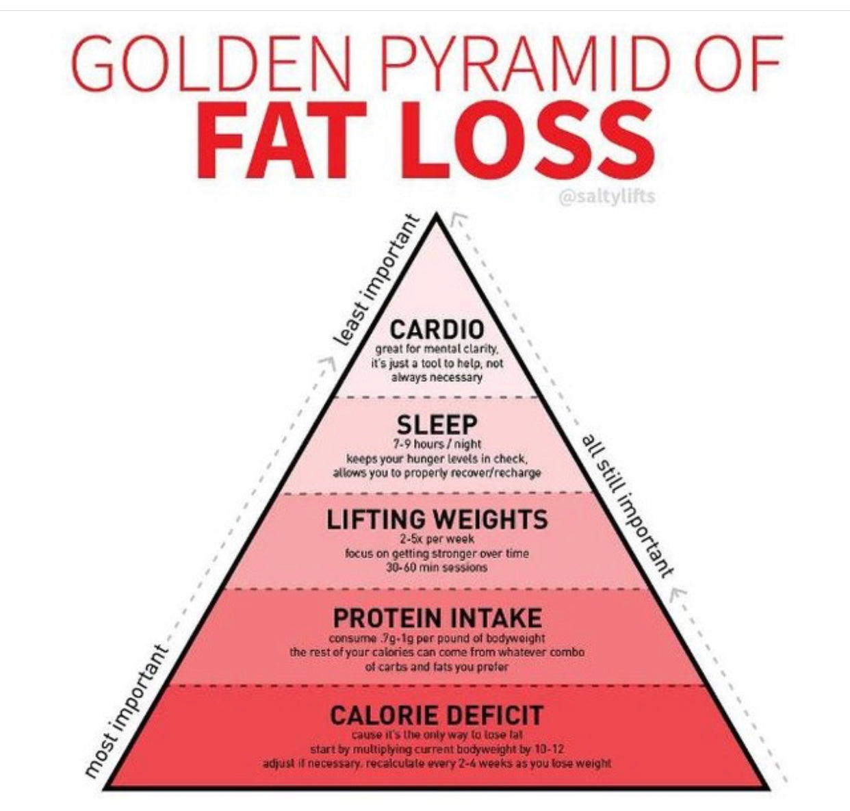 This FATLOSS Pyramid can change your Body & Your Life Forever