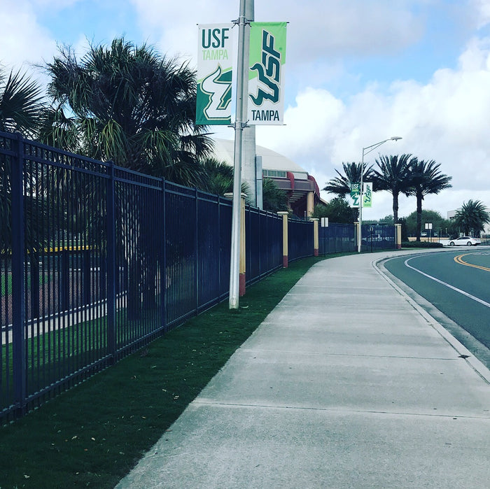 Going back to.... TAMPA!