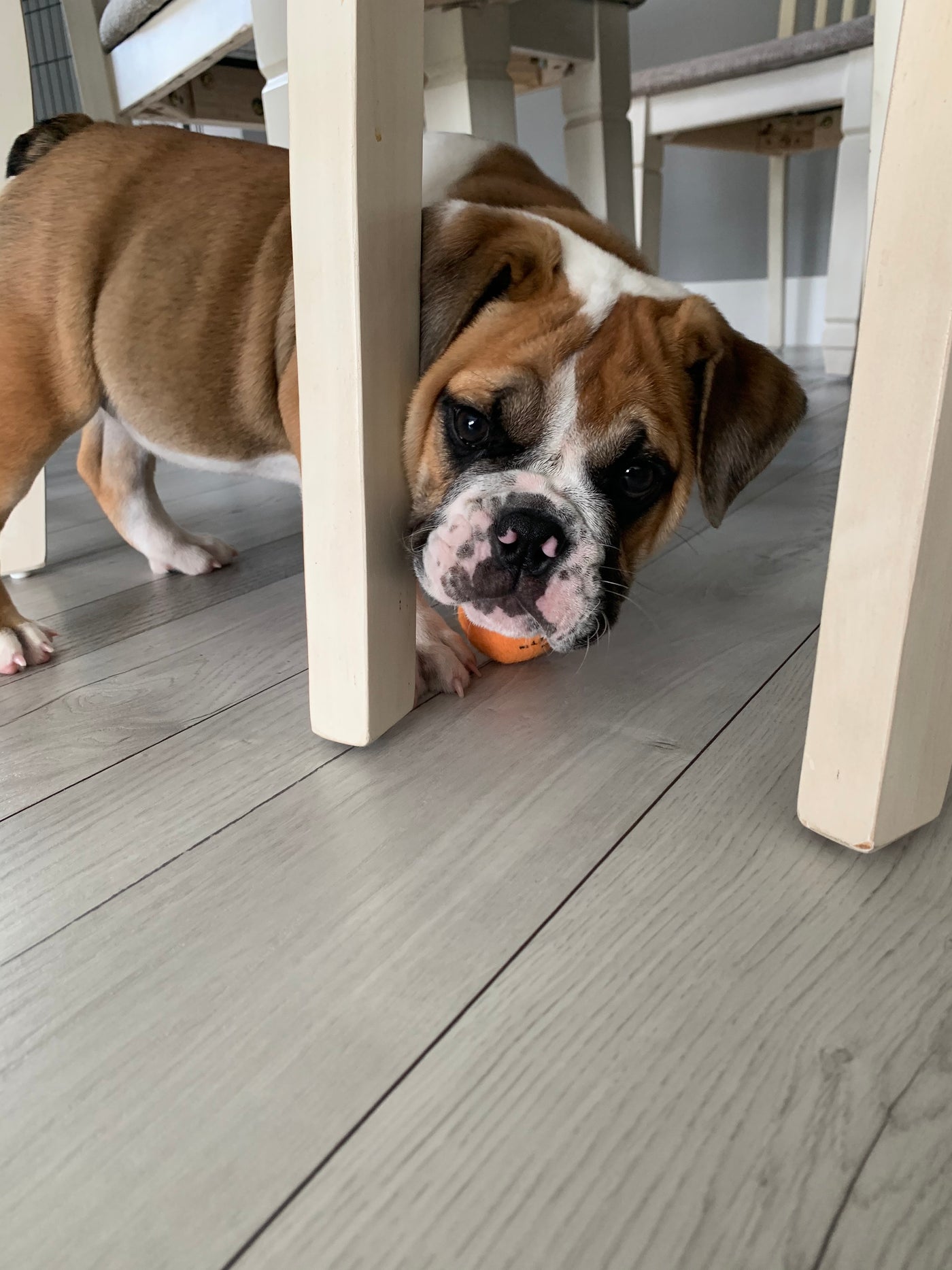 THIS is What I Have Learned....