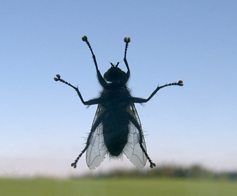 A MUST READ Story...