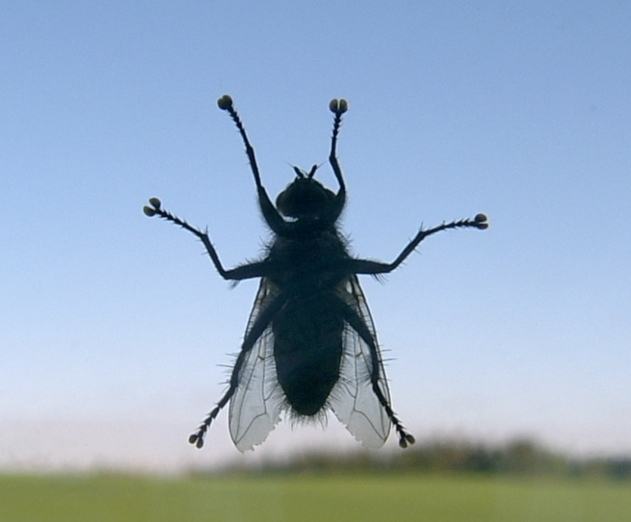 A MUST READ Story...