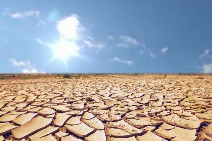 Making a Decision Outside of a Peak State Could Have Terrible Consequences